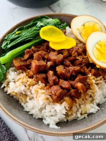 Close up of a bowl of lu rou fan with pickles, egg and Asian greens
