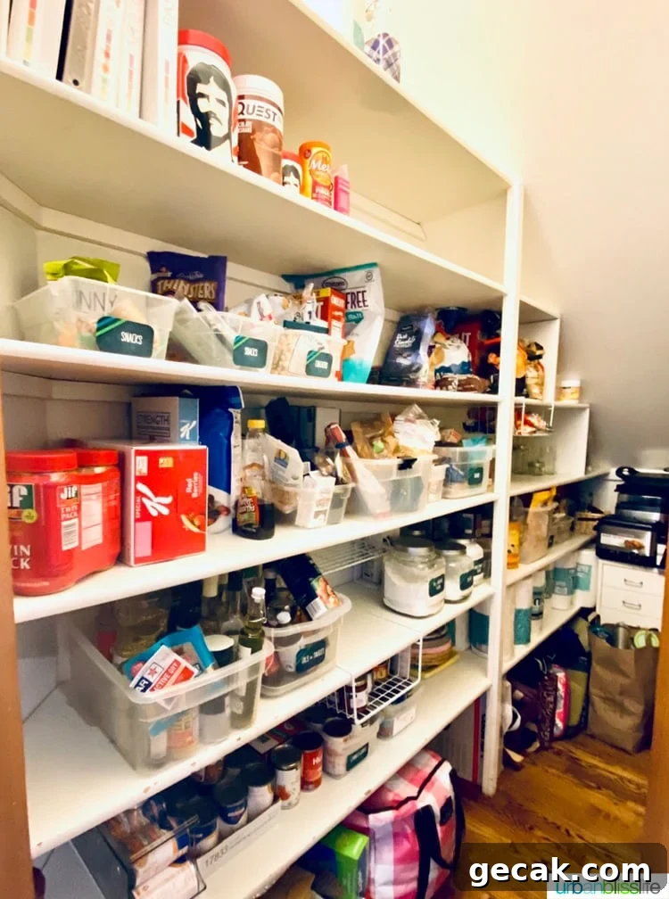 Pantry with Non-Perishable Food Pantry List