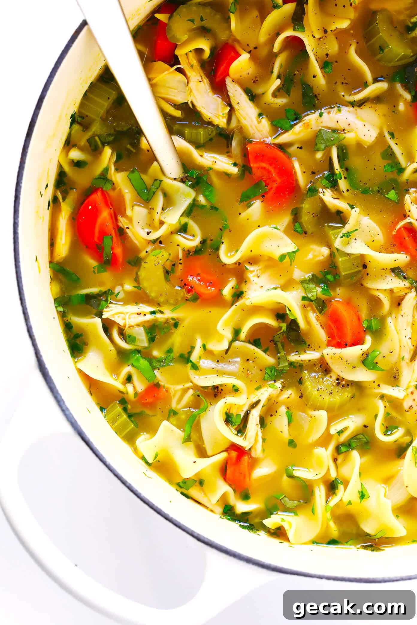 Herb-Loaded Chicken Noodle Soup Recipe