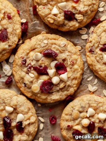 Gluten Free Oatmeal Cranberry Cookies