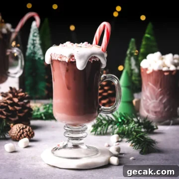 a cup of spiked peppermint hot chocolate