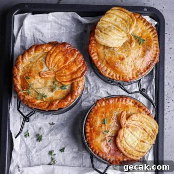 a shot of turkey pot pie