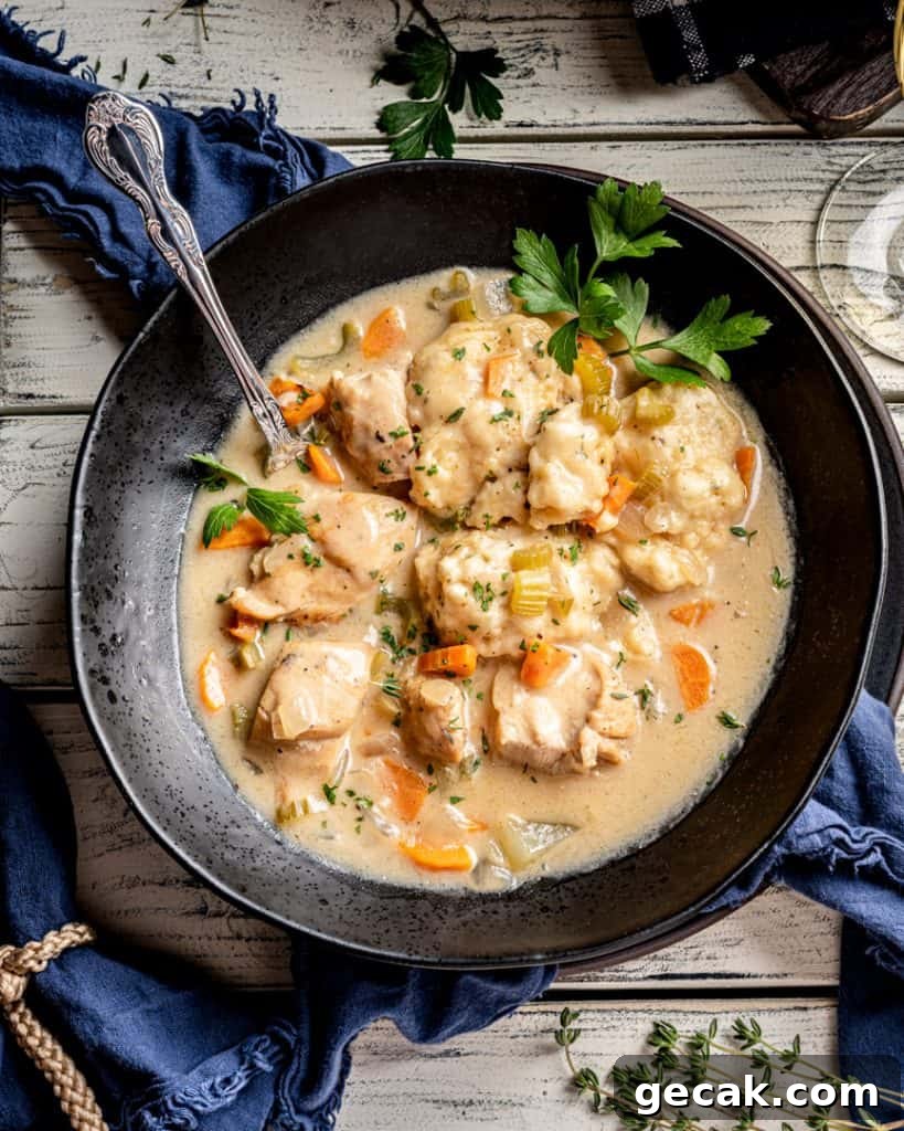 7 Comforting Soups and Hearty Stews to Keep You Warm 3 Chicken and Dumplings