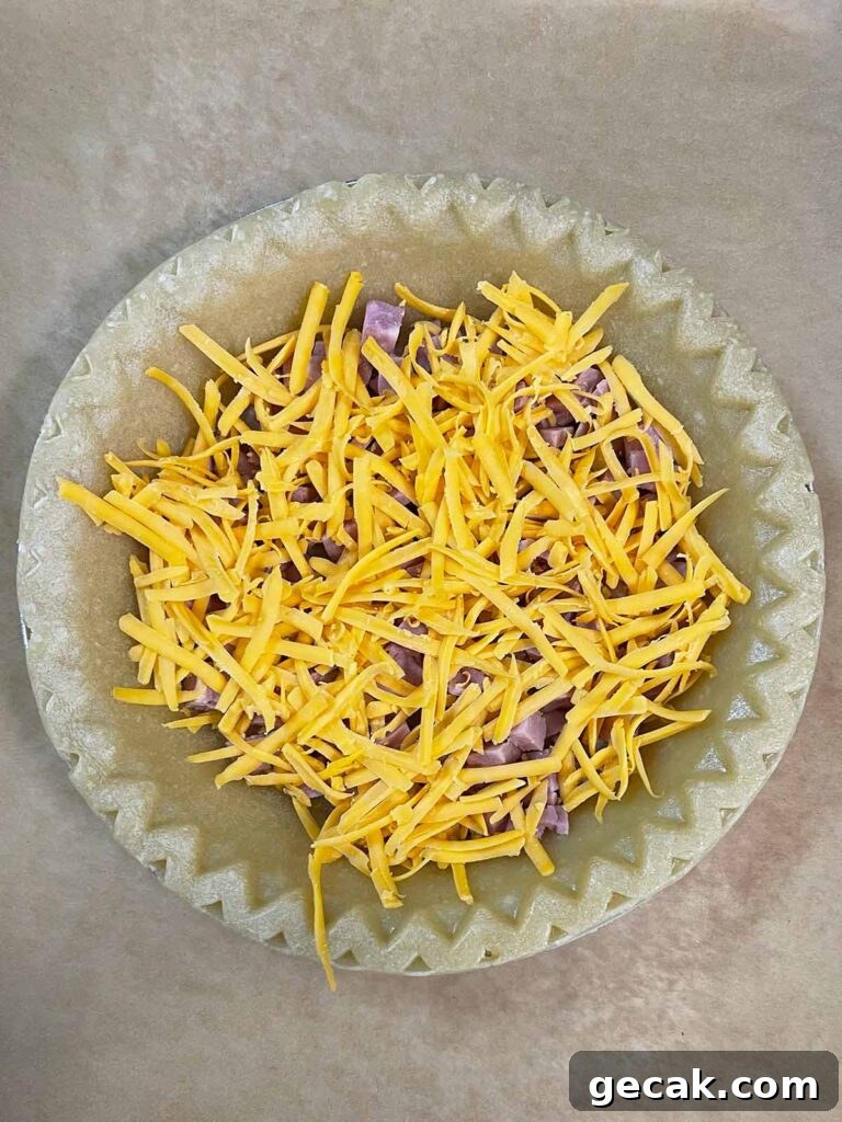 Southwestern Omelet Quiche Recipe – Flaky Crust & Savory Filling 12 Ham and cheese in a pie shell.