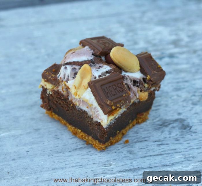 Rocky Road S'mores Brownies recipe