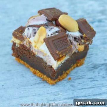 Rocky Road S'mores Brownies!