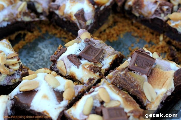 Rocky Road S'mores Brownies recipe