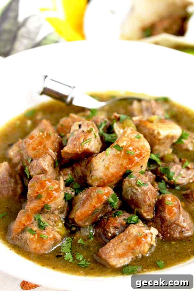 Pork Stew in salsa verde in a white bowl.