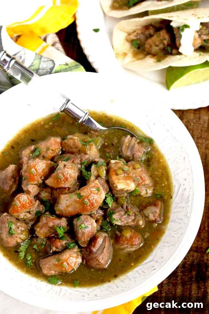 Pork Chili Verde in a white bowl