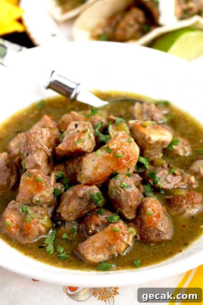 Pork chile verde in a white bowl.