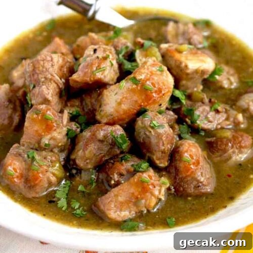 Tasty Slow Cooker Pork Chile Verde served in a white bowl.