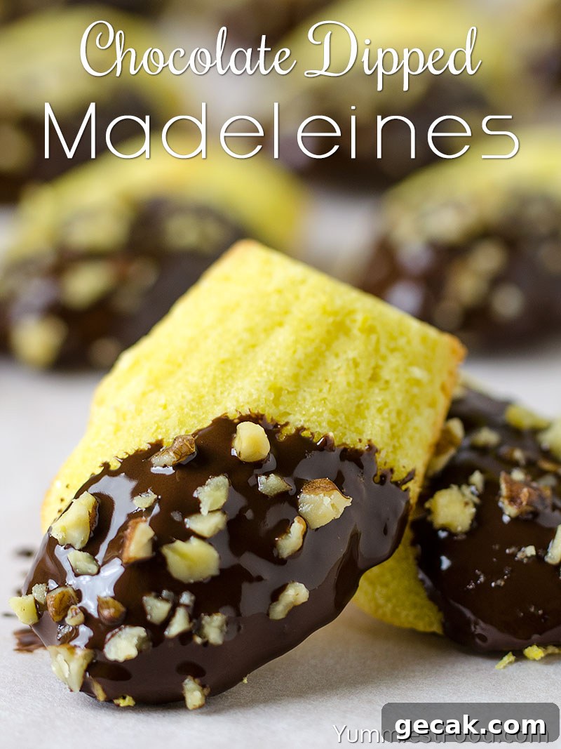 Easy Chocolate Dipped Madeleines Recipe