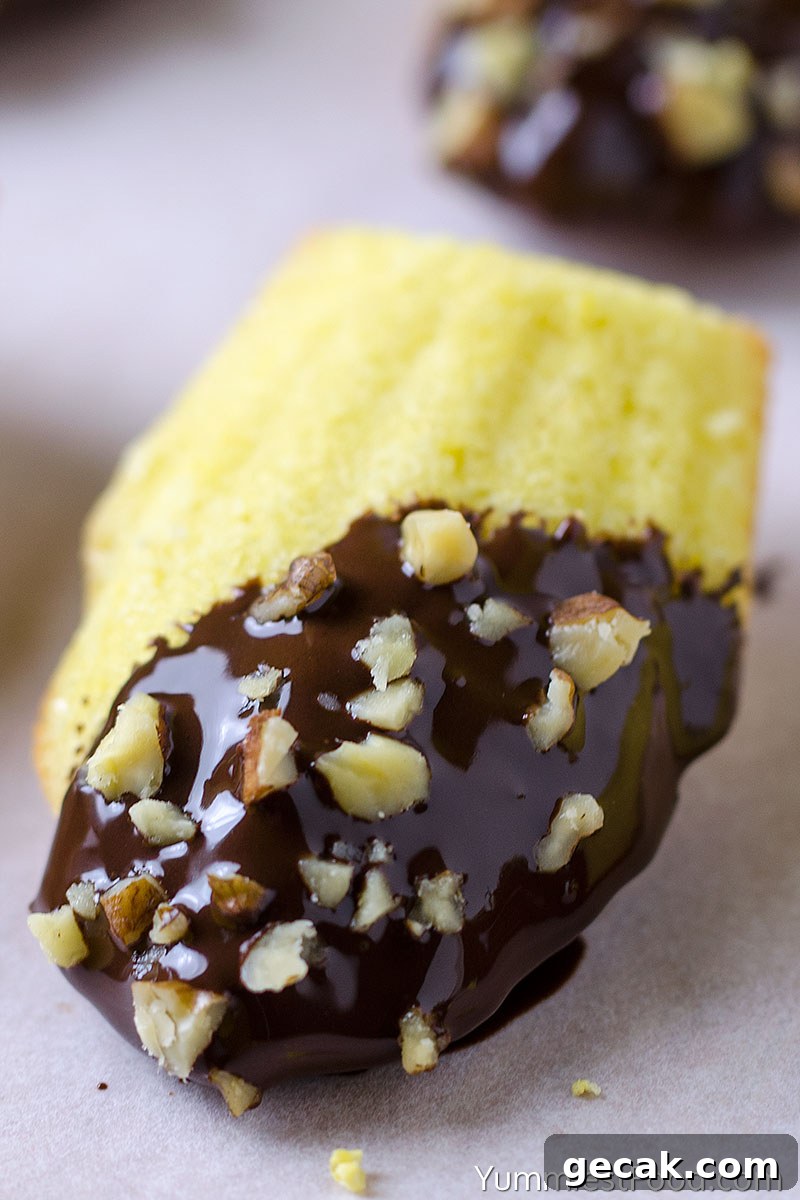 hocolate Dipped Madeleines - at the table