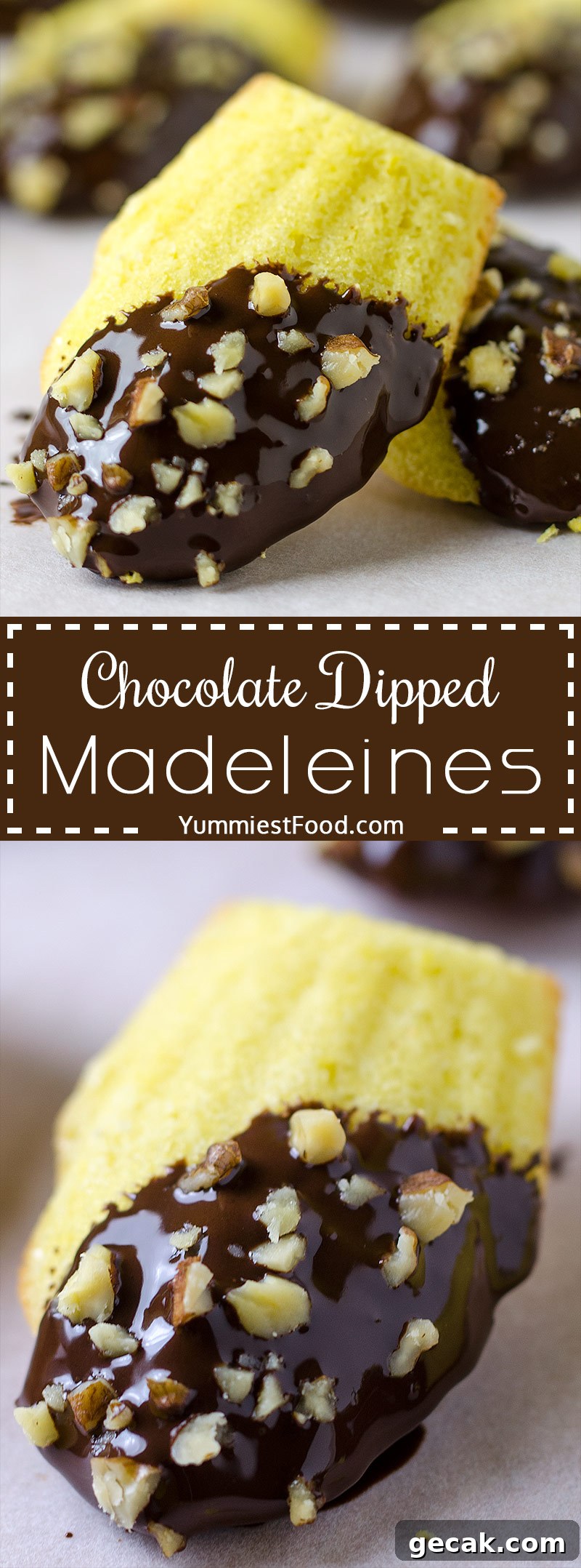 EASY CHOCOLATE DIPPED MADELEINES – Classic Madeleine recipe dipped in chocolate and decorated with chopped pecan or walnuts. 