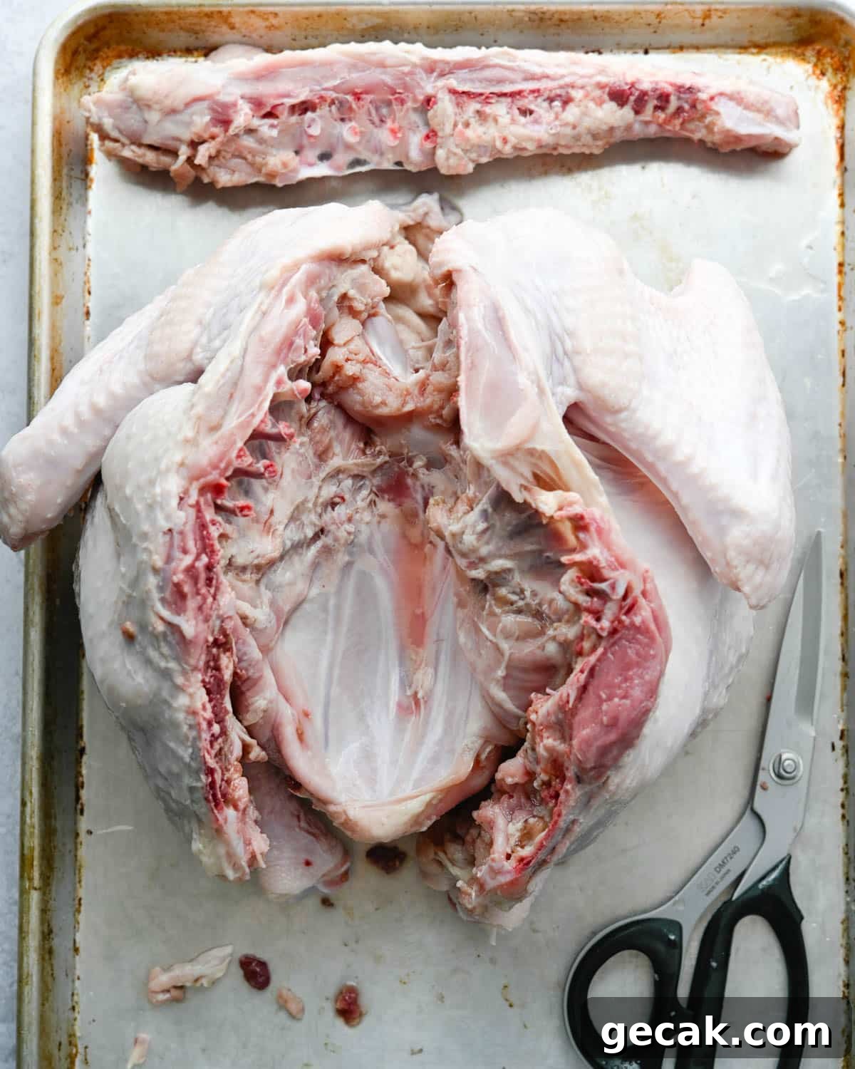The turkey after removing the backbone.