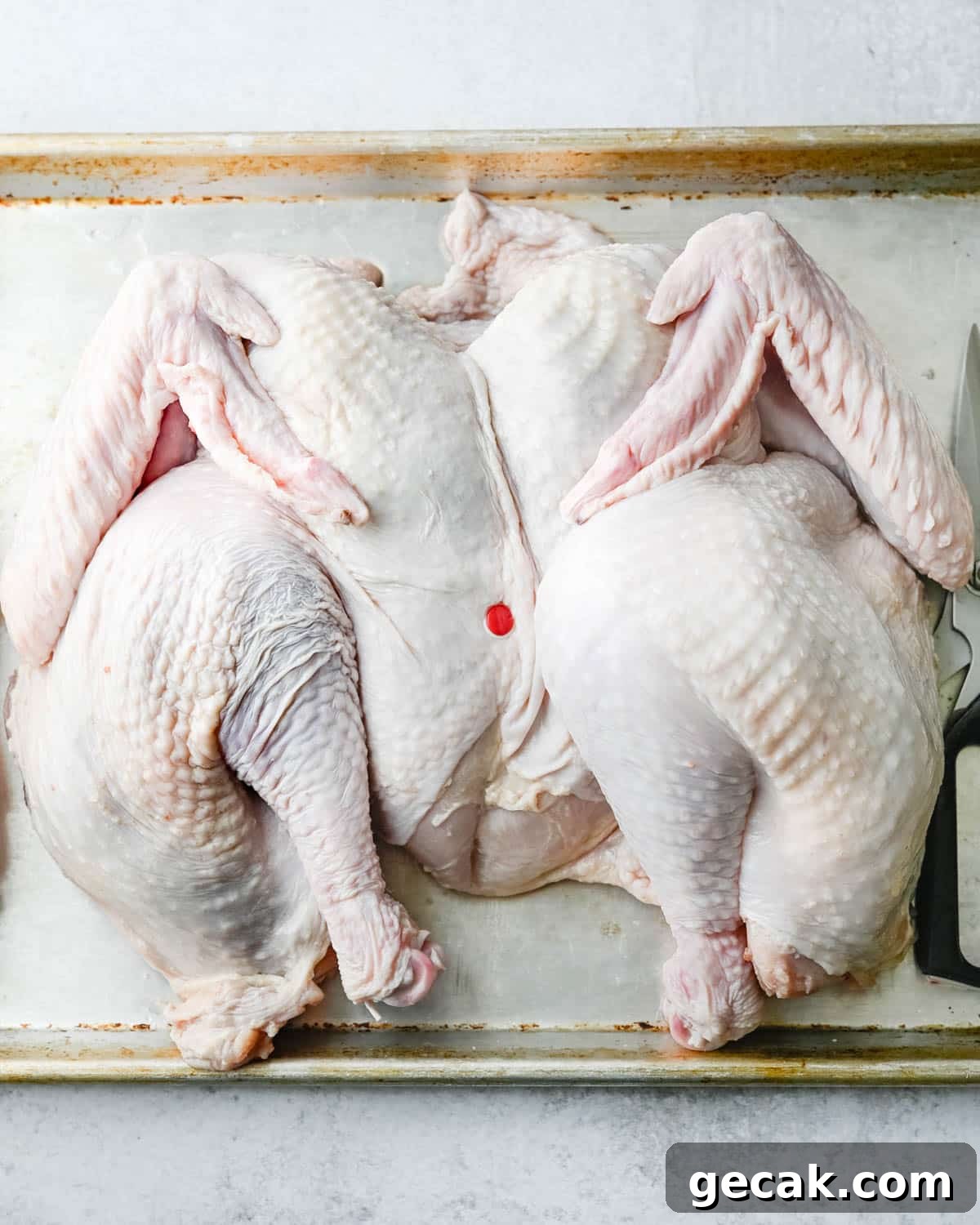 A spatchcocked turkey on a sheet pan.