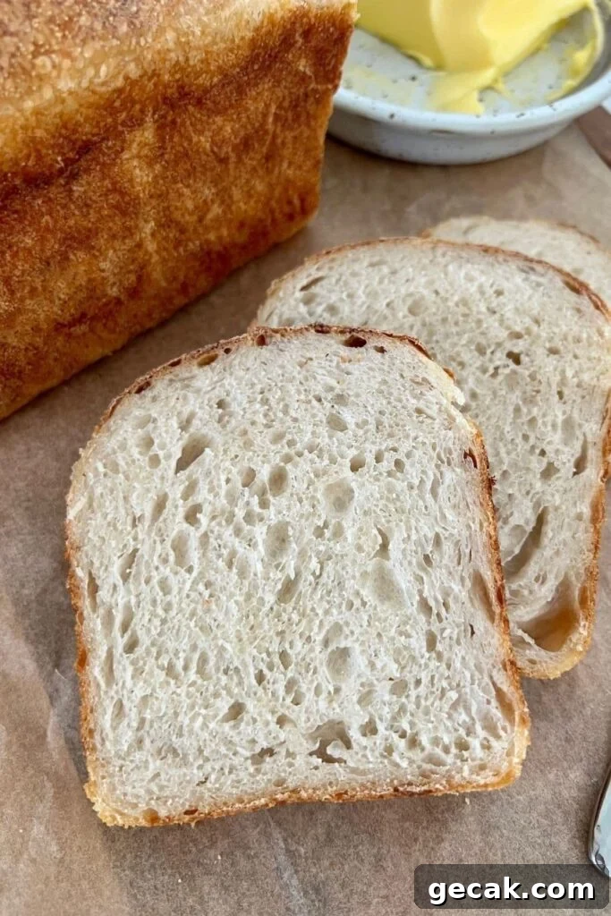 50+ Sourdough Breakfast Recipes — Sweet and Savory Ideas 14 img 6470 51