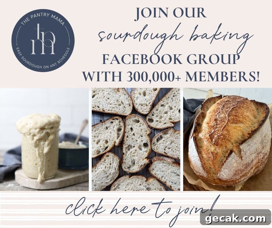 50+ Sourdough Breakfast Recipes — Sweet and Savory Ideas 16 img 6470 78