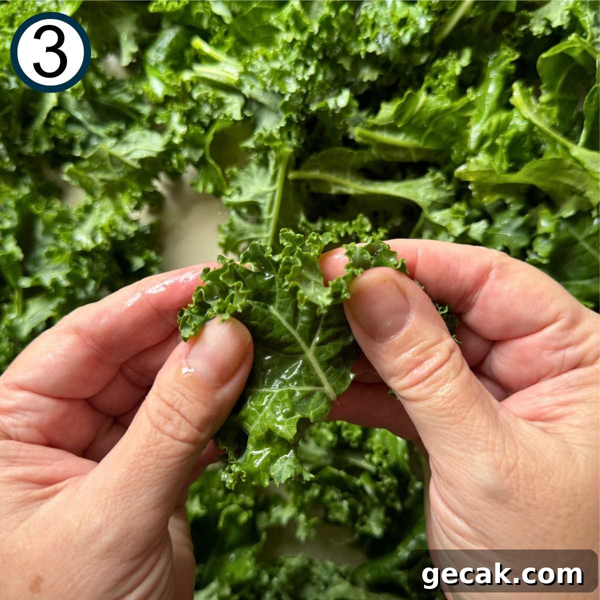 Hand massaging a kale leaf over a pan with more leaves.