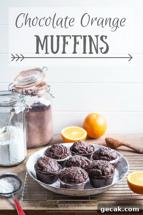 Chocolate Orange Muffins Recipe with Zesty Dark Chocolate Swirls 2 Chocolate Orange Muffins on a white plate surrounded by baking products