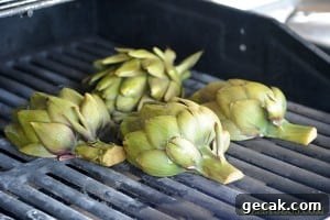 img 7264 10