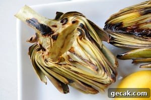 Grilled Artichokes from Zestuous