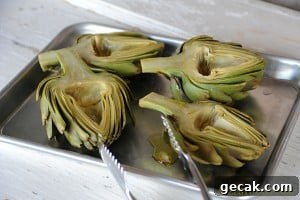 img 7264 9