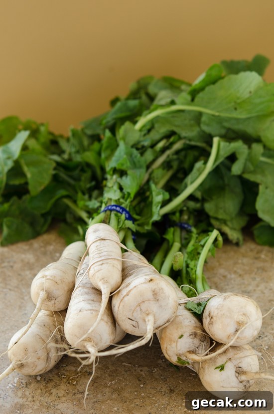 a bunch of Ponytail radish is for making bachelor kimchi