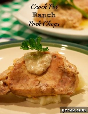 Crock Pot Ranch Pork Chops have just three ingredients but will leave you with flavorful, juicy pork chops for dinner.