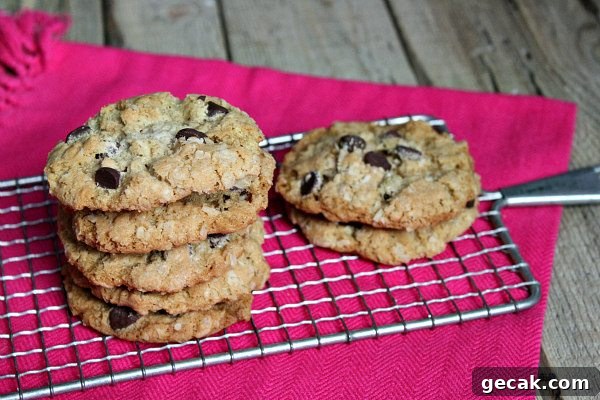 Lone Ranger Cookies recipe - from RecipeGirl.com