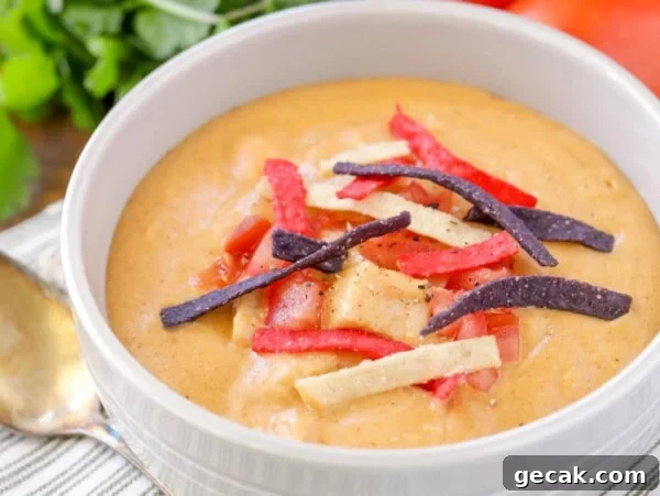 Chili’s Chicken Enchilada Soup