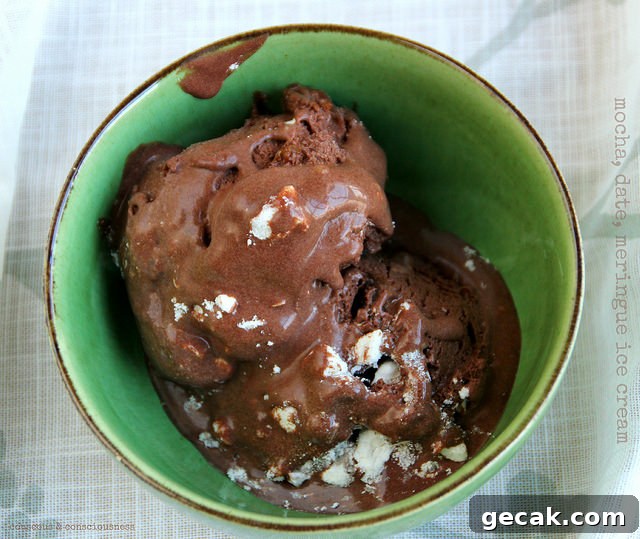 Date Syrup Uses: Delicious Pantry Ideas and Serving Tips 8 A bowl of chocolatey ice cream with date syrup.
