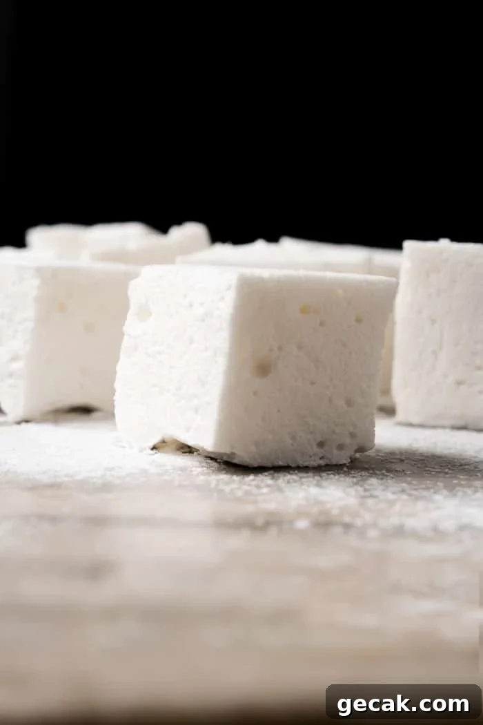 3-Ingredient Sugar Free, Paleo & Keto Marshmallows
