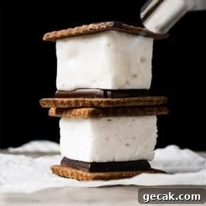 3-Ingredient Sugar Free, Paleo & Keto Marshmallows S'mores