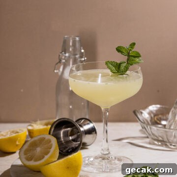 Mint spring in a fresh lemony southside cocktail.