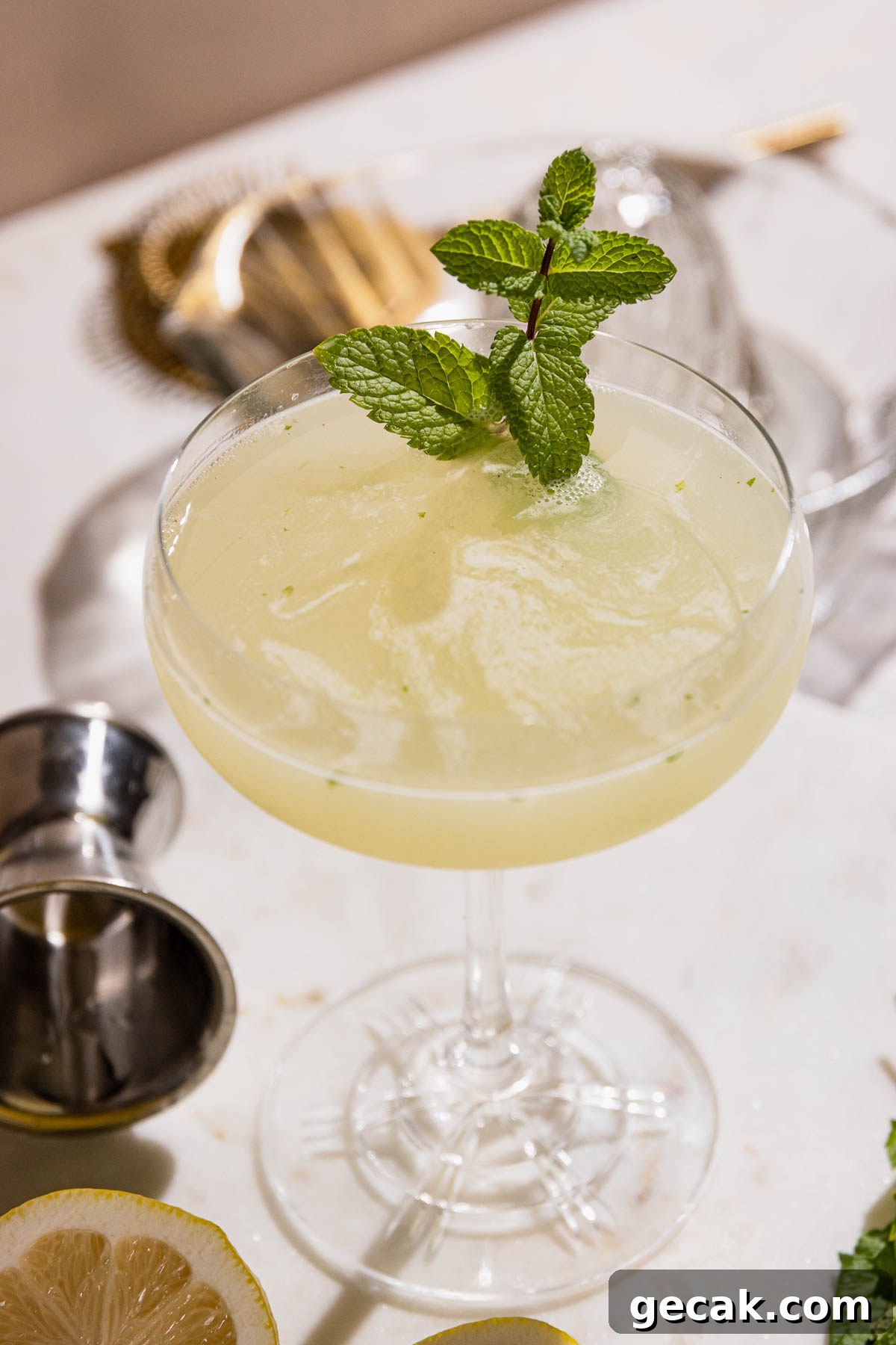 Close up of a southside drink in a cocktail glass with fresh mint. 
