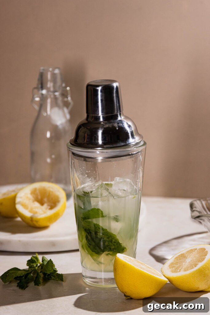 Ingredients for a southside in a cocktail shaker. 