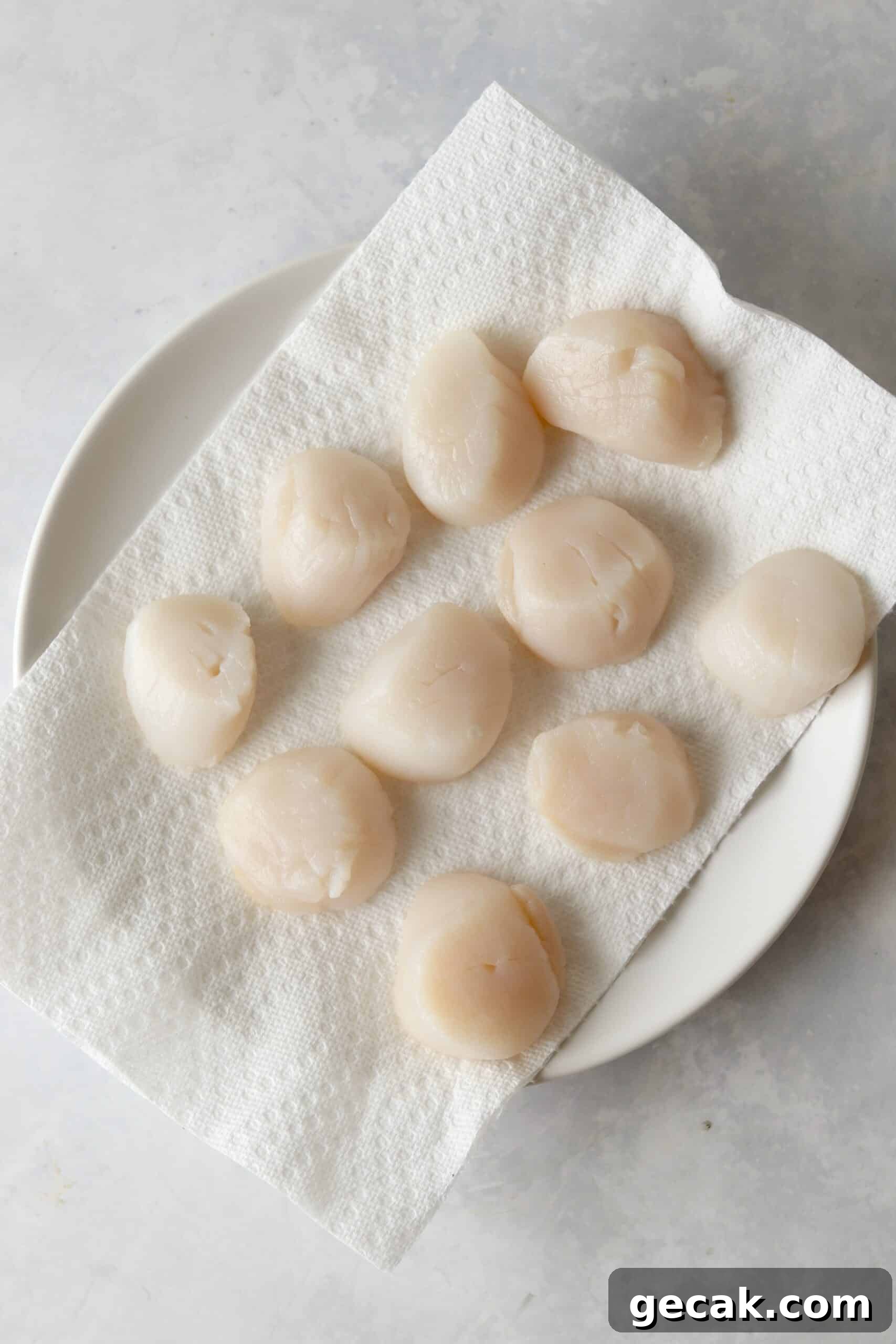 Crispy Air-Fried Scallops with Lemon Butter Sauce 7 raw scallops on paper towel