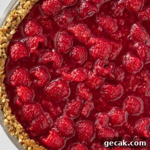 No Bake Raspberry Pretzel Pie Recipe featured by top US dessert blogger, Practically Homemade