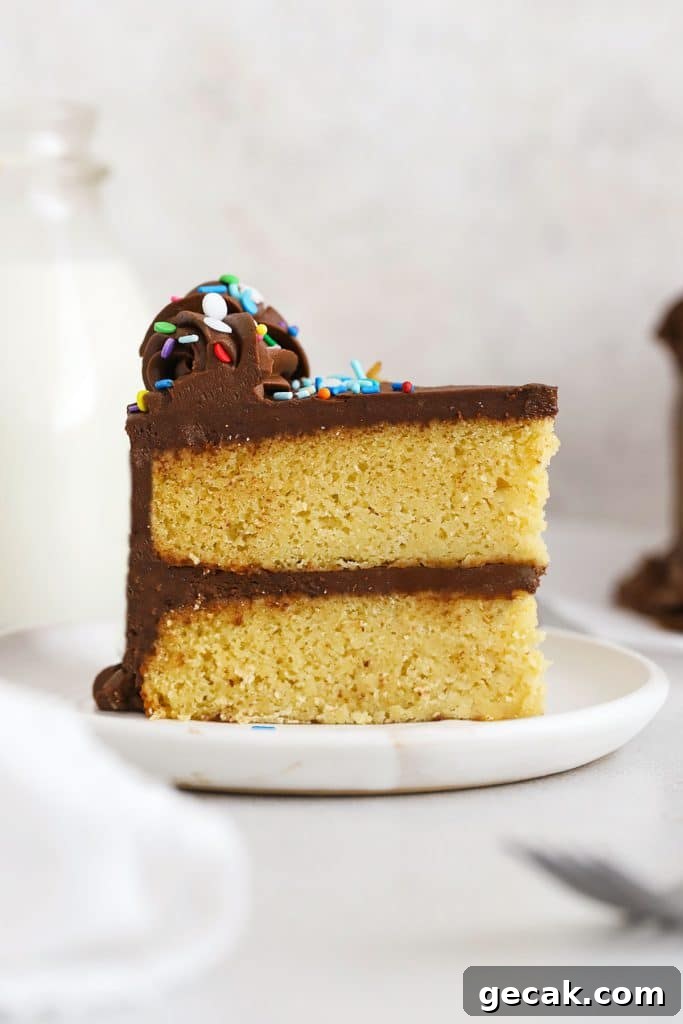 a slice of gluten-free vanilla cake with chocolate frosting and colorful sprinkles