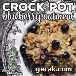 Creamy Steel-Cut Oatmeal in the Crock Pot: Slow-Cooker Recipe 7 Crock Pot Blueberry Oatmeal