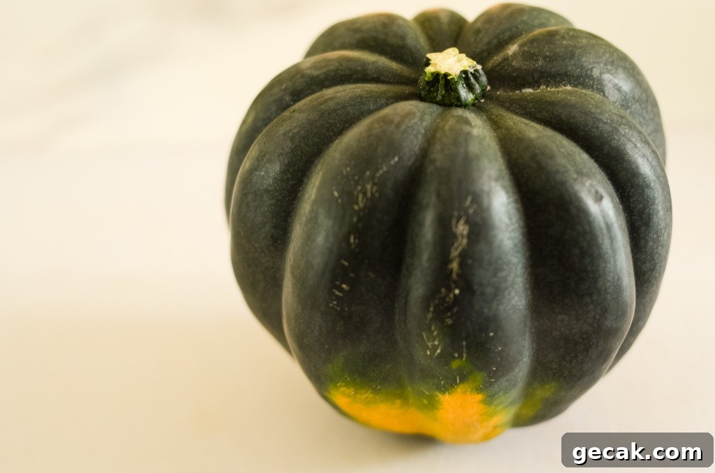 Crispy Air Fryer Acorn Squash Recipe for Quick Weeknight Sides 4 air fryer acorn squash